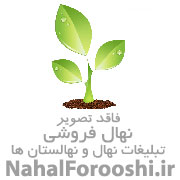 نهالستان نهالستان شکوفه امید البرز