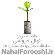 مهندس معصومی 