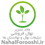 نهالستان نهال فروشی اختری